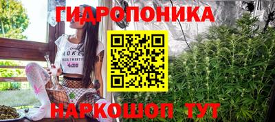 соль ск Новодвинск