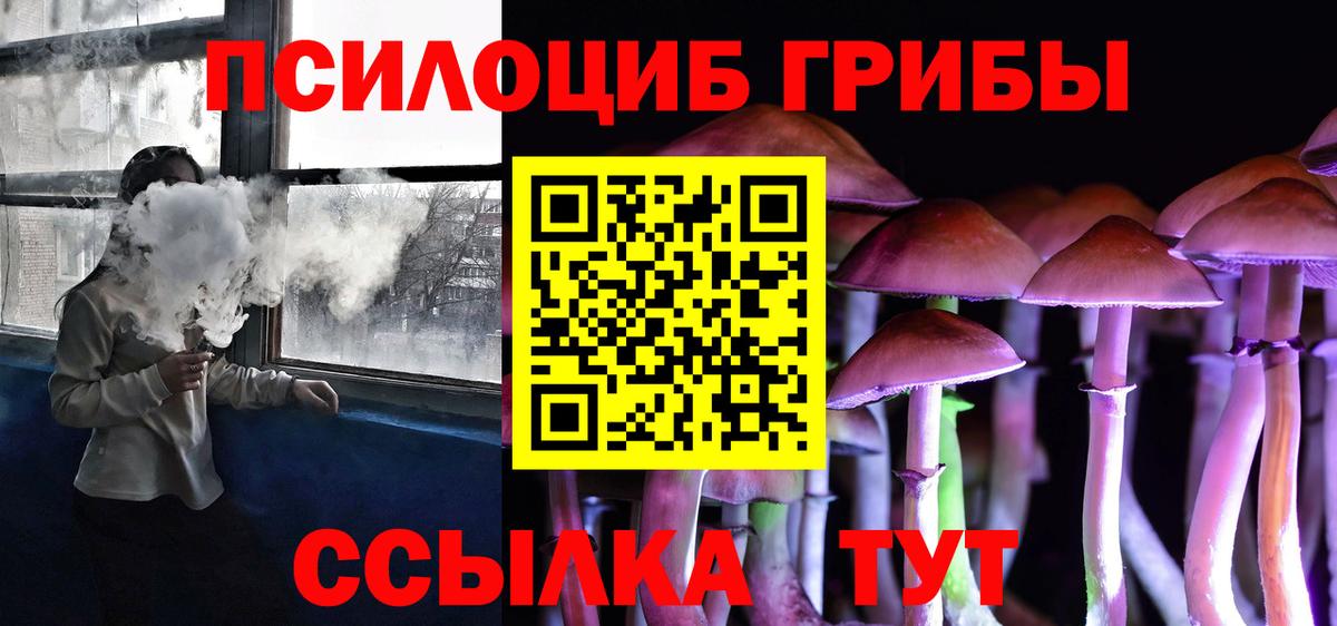 Сокол  Псилоцибиновые грибы Psilocybine cubensis  Вход с VPN 