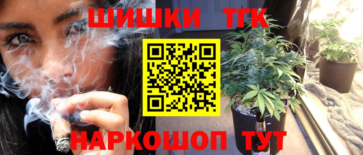 Конопля сатива Сокол